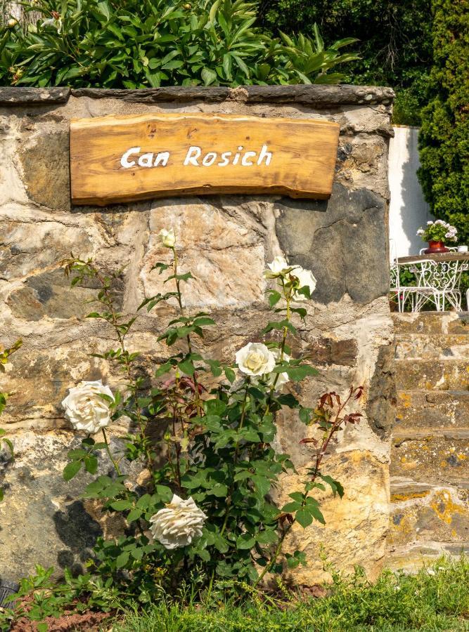 Can Rosich Santa Susanna Luaran gambar